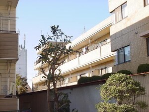 ライオンズマンション調布第二外観写真