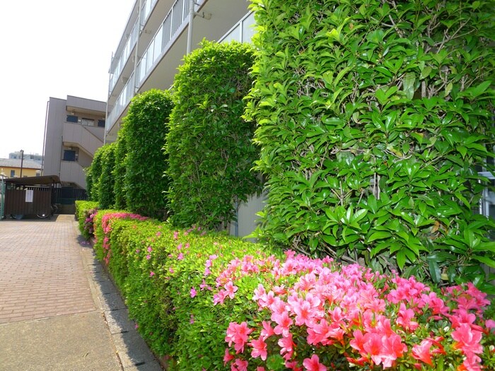 物件外観写真3　(その他)