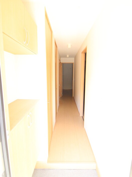 物件内観写真7　(玄関)