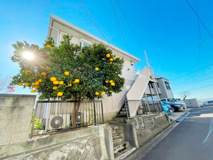 物件外観写真5　(外観写真)