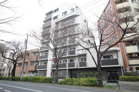 RISE　NAKANO-MATSUGAOKA（602）外観写真