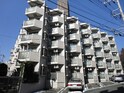 ﾗｲｵﾝｽﾞﾏﾝｼｮﾝ中央林間第１０(312)