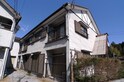 緑マンション
