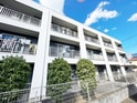アンプルール フェール YAHAGI