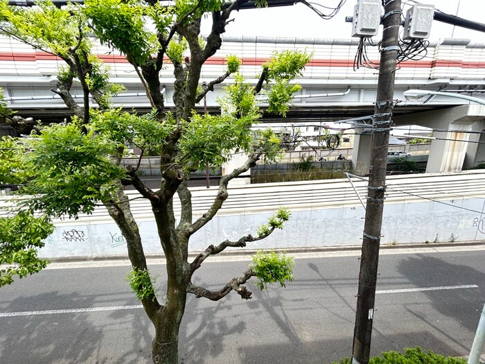 物件内観写真19　(周辺環境)