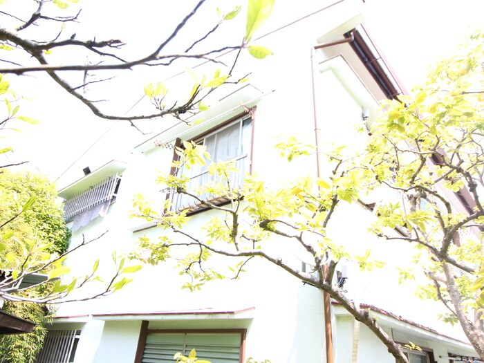 物件外観写真5　(外観写真)