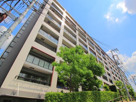 Park Homes成増ﾏ-ｸﾚｼﾞﾃﾞﾝｽ(125)外観写真