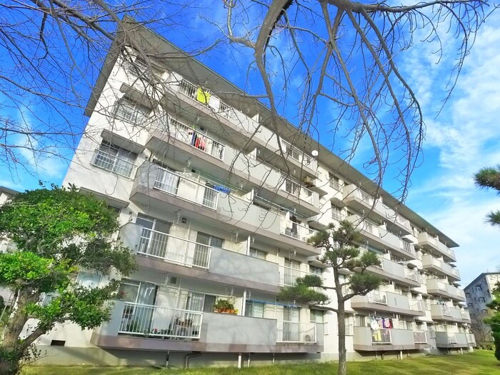 若松二丁目団地の賃貸物件情報 千葉県船橋市 マンション Chintai 賃貸マンション アパート 部屋探し情報サイト