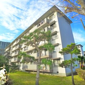 若松二丁目団地外観写真