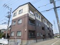 アウレリア