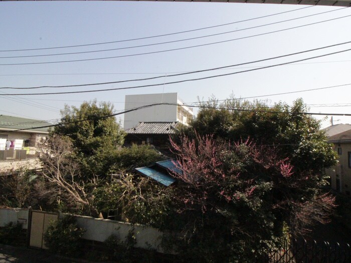 物件内観写真22　(室内からの展望)