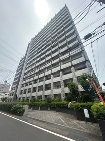 ヴォルテックス２１志木(205)の外観写真