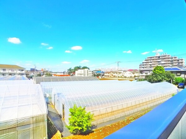 室内からの展望