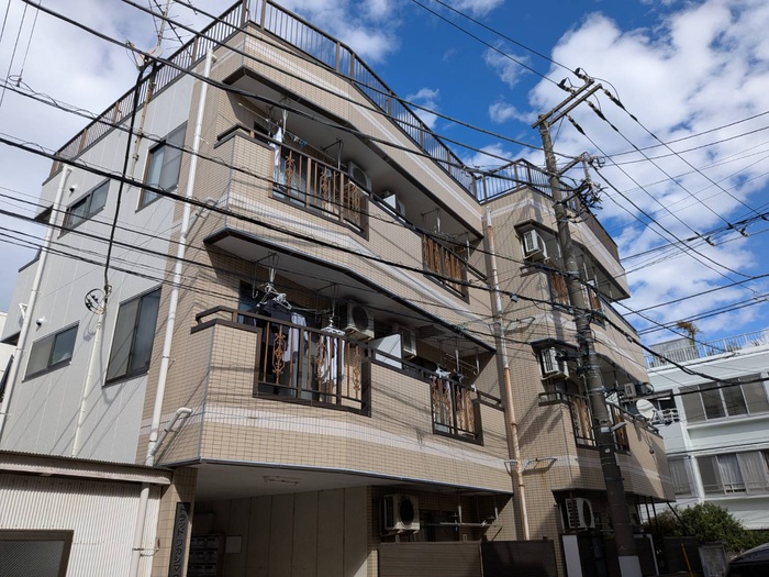 トラッドワカシマ　Ⅱ