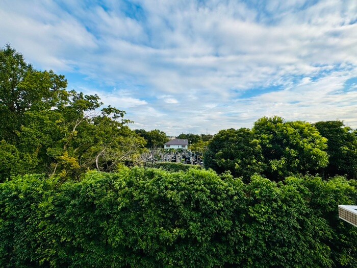 物件内観写真19　(室内からの展望)