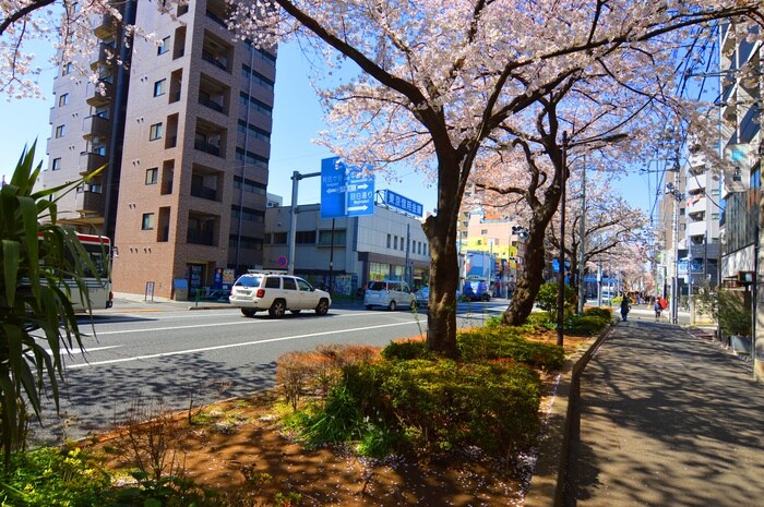 物件外観写真6　(周辺環境)