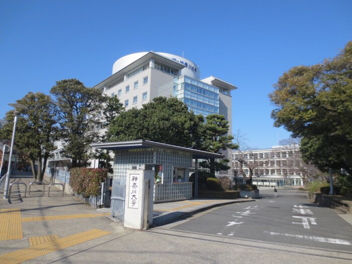 私立神奈川大学