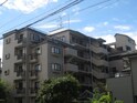 アルス長津田(208)
