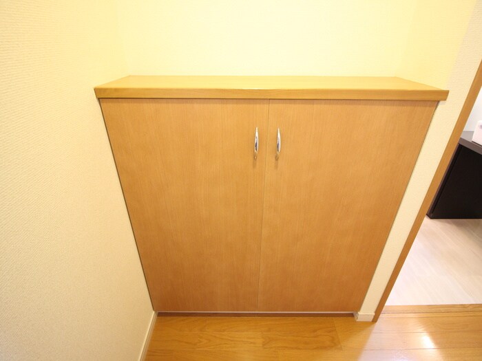 物件内観写真21　(靴箱)