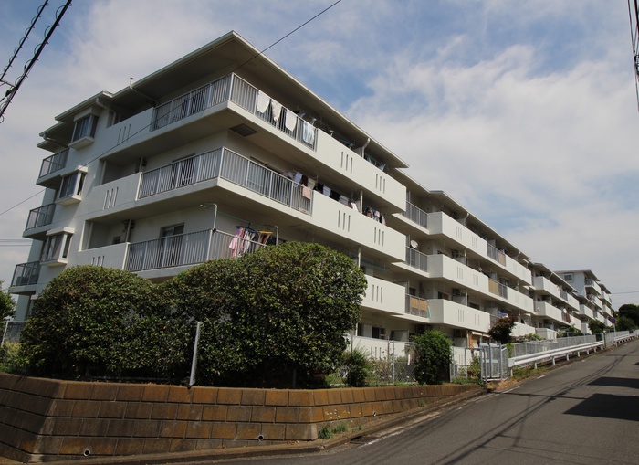 ﾗｲｵﾝｽﾞﾏﾝｼｮﾝ中山ｶﾞｰﾃﾞﾝA棟（314)