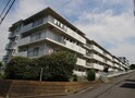 ﾗｲｵﾝｽﾞﾏﾝｼｮﾝ中山ｶﾞｰﾃﾞﾝA棟（314)
