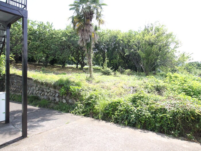 物件内観写真19　(室内からの展望)