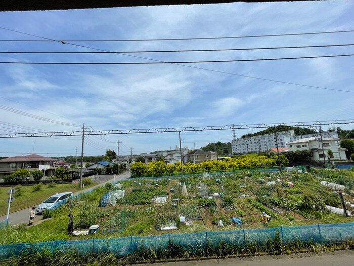 アリビオＫ　Ⅰの室内からの展望