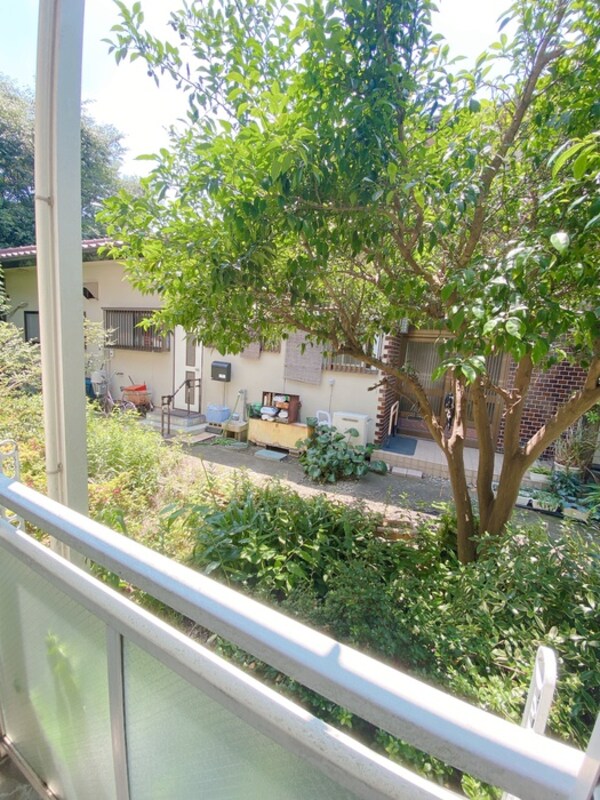 室内からの展望