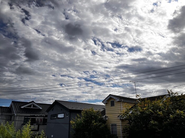 物件内観写真16　(室内からの展望)