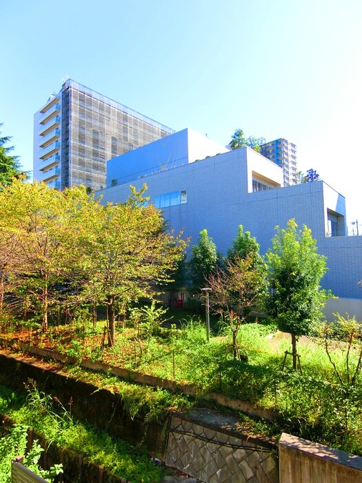 物件内観写真17　(室内からの展望)