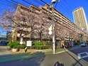 市川パークハウスＢ棟（６２０）