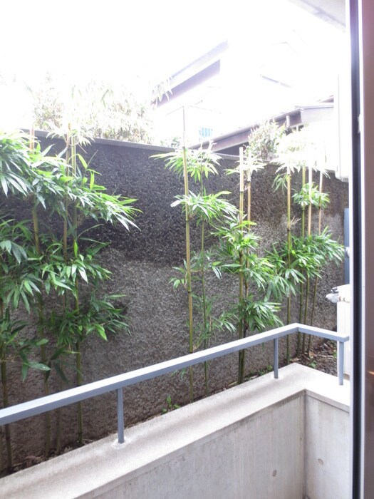 物件内観写真13　(室内からの展望)