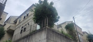 ジョイコート飯島町外観写真