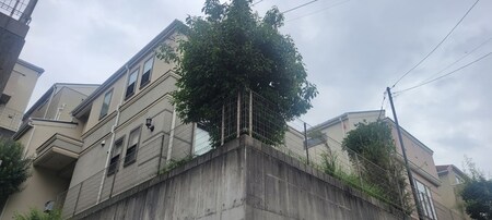 ジョイコート飯島町外観写真