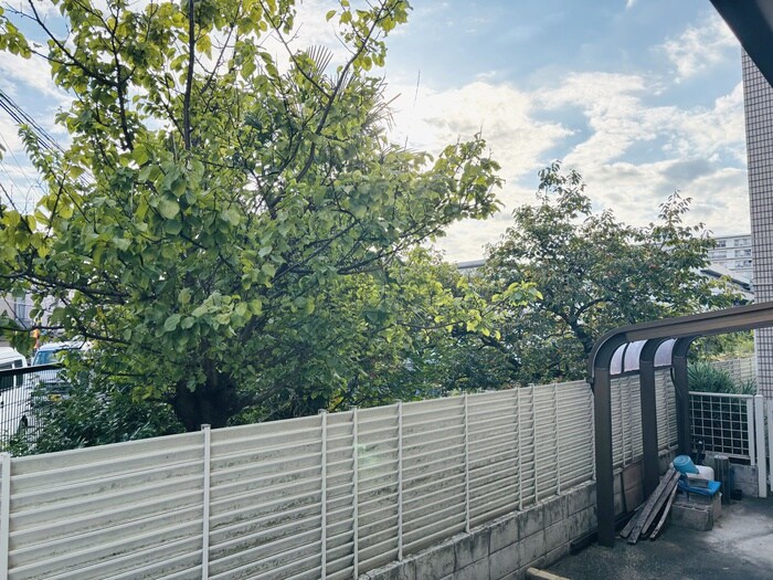 物件内観写真22　(室内からの展望)