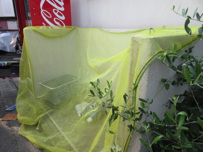 物件外観写真4　(その他)