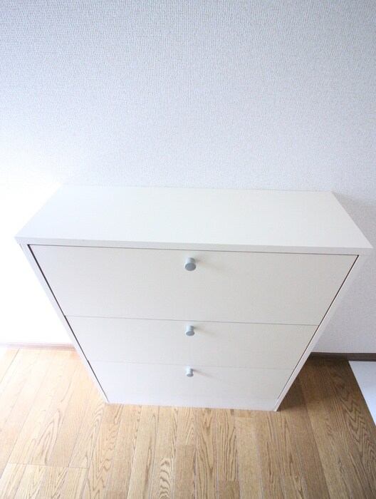 物件内観写真12　(靴箱)