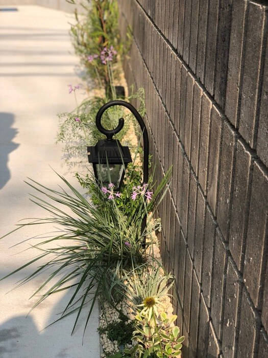 物件外観写真6　(外観写真)