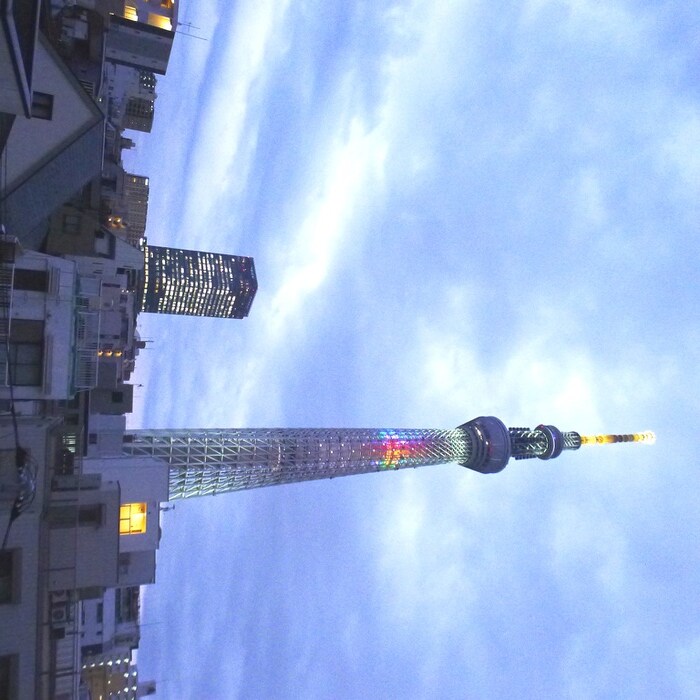 物件内観写真16　(室内からの展望)