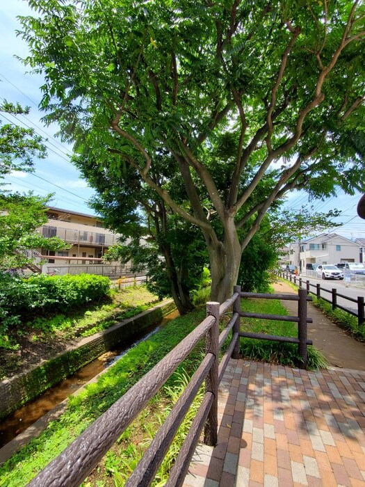 物件外観写真5　(周辺環境)