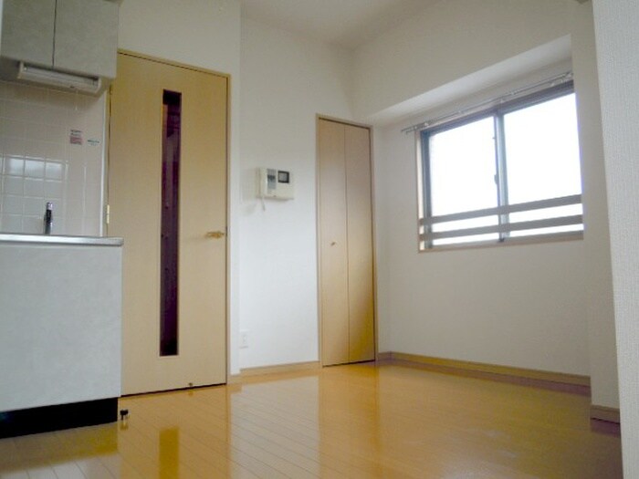 物件内観写真10　(居室)