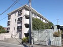 エメロ－ド湘南