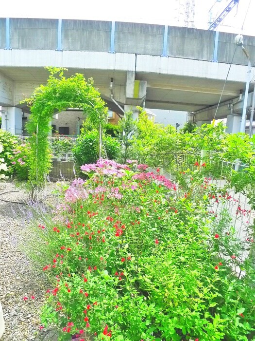 物件外観写真5　(周辺環境)