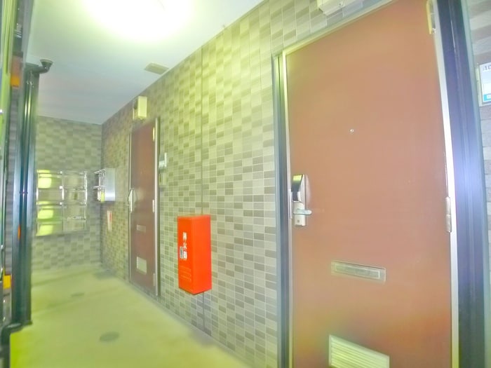 物件外観写真6　(エントランス部分)