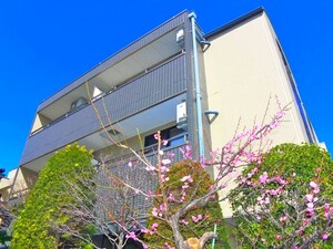 フェリ－チェ外観写真