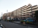 ｼｬｰﾙﾚｰｸ大井桜通り（410）