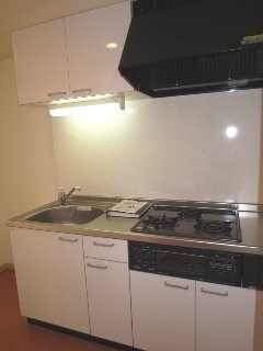 物件内観写真6　(キッチン)