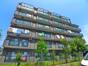 グレースコート志村外観写真