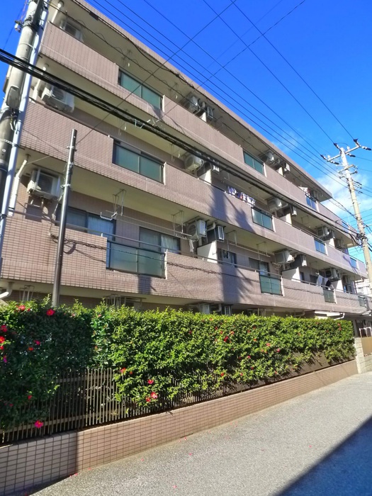 シティ浜野