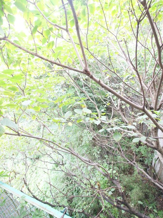 物件内観写真16　(室内からの展望)